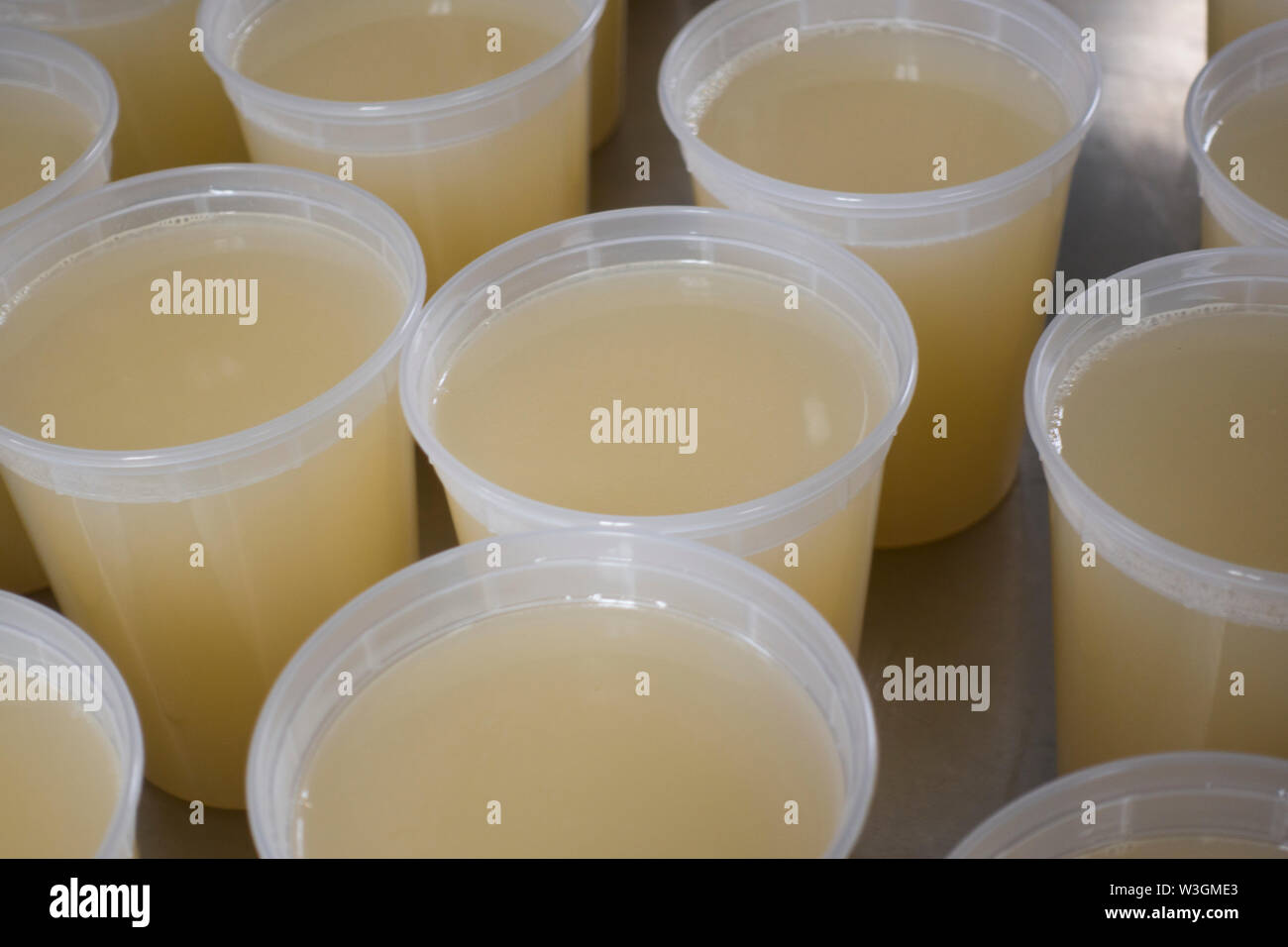 butcher shop meat store Brooklyn NYC Stock Photo Alamy