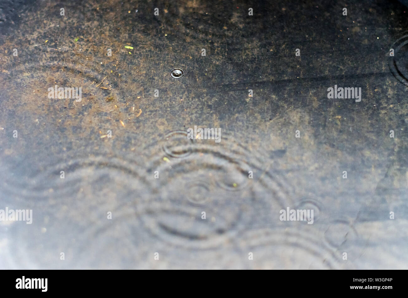 Ripples in the Surface of a Puddle on a Rainy Day Stock Photo - Alamy