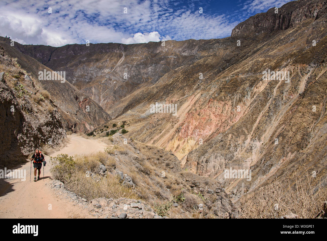Trekking Into The Colca Canyon Cabanaconde Peru Stock Photo Alamy