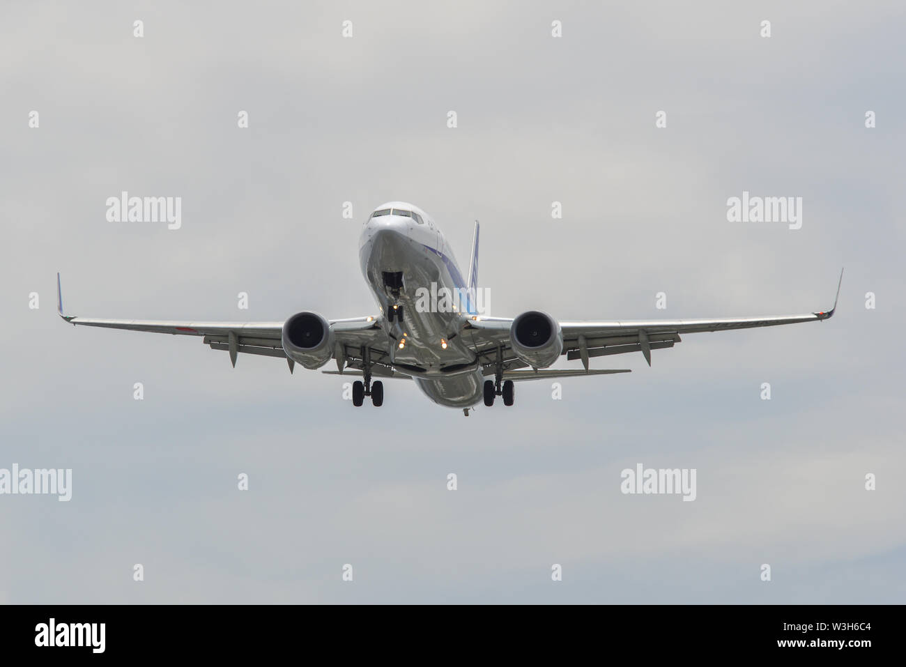Osaka Japan Jun 26 2019 A Boeing 737 800 Airplane Of Ana All