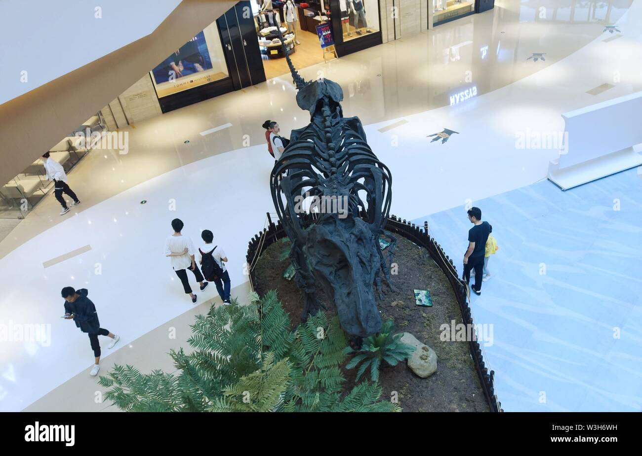Rex China Hangzhoutyrannosaurus hi-res stock photography and images - Alamy