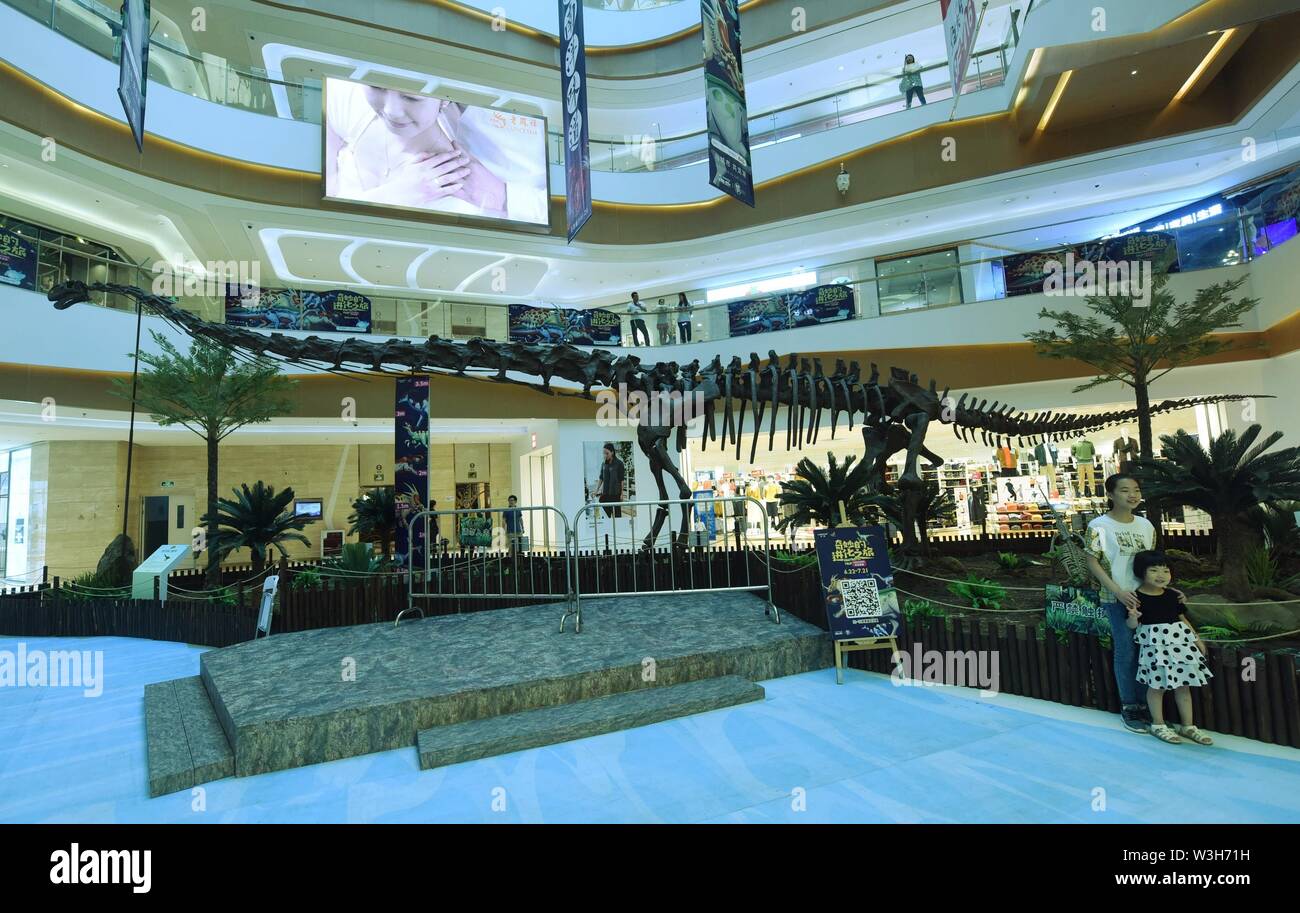 Rex China Zhejiang, Zhejiang, China. 16th July, 2019. Zhejiang, China - July 16 ...
