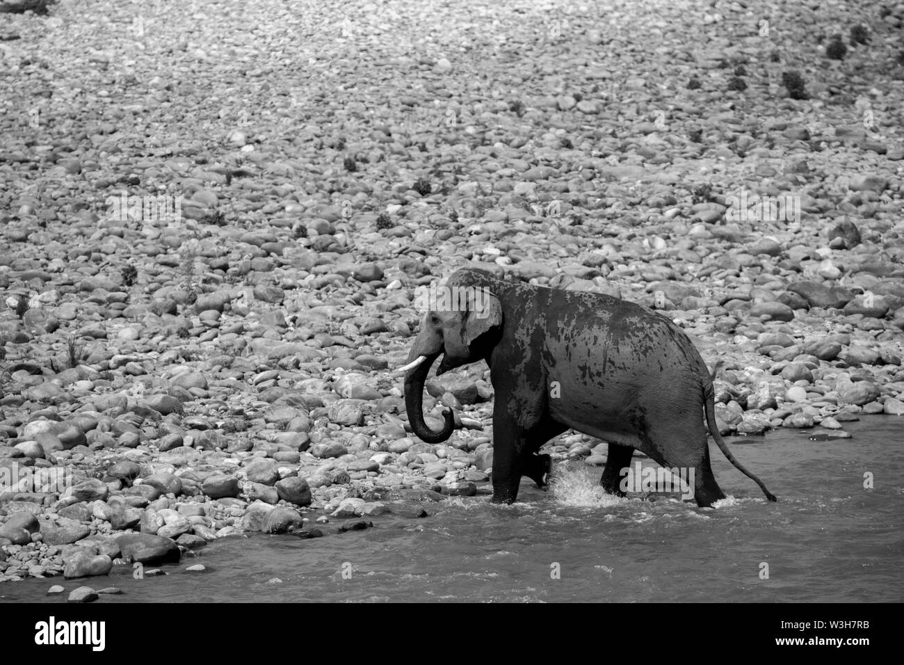 Uttarakhand tourism Black and White Stock Photos & Images - Alamy