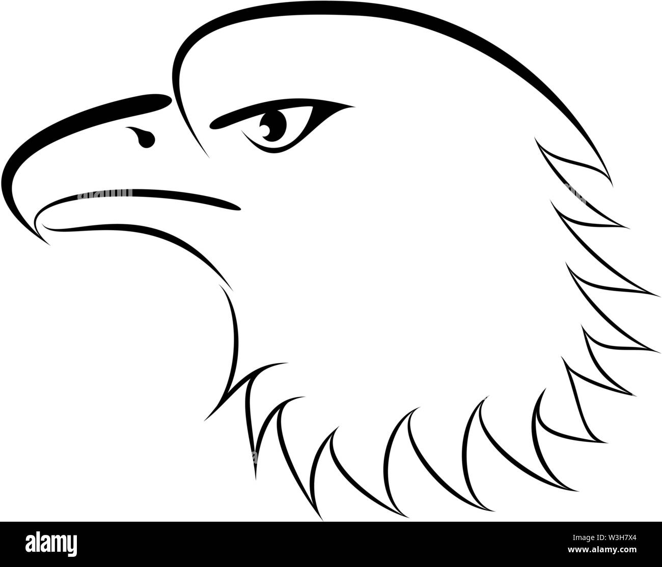 Linear drawing bald eagle genre minimalism Stock Vector