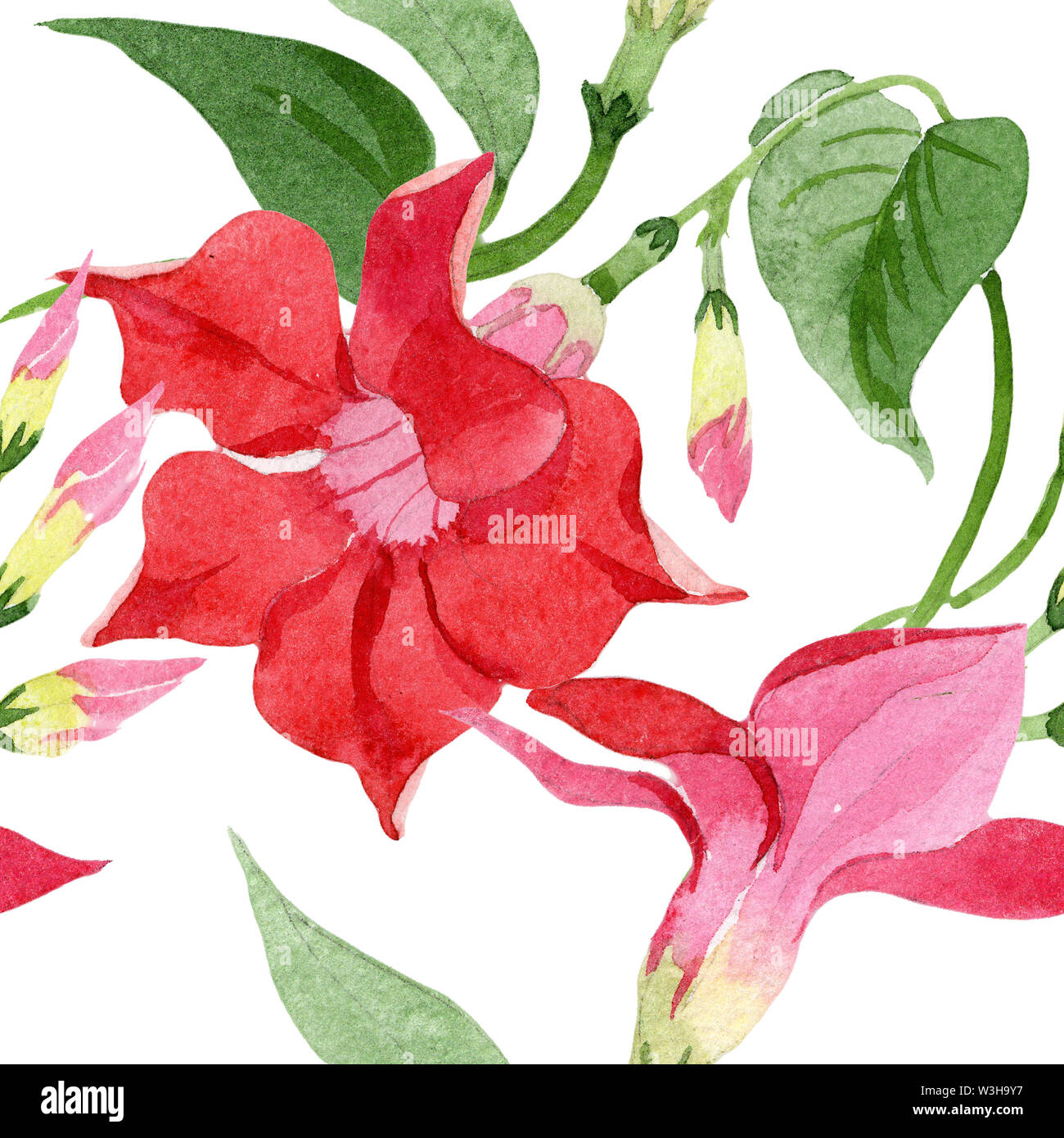 Red dipladenia floral botanical flowers. Watercolor background illustration set. Seamless background pattern. Stock Photo