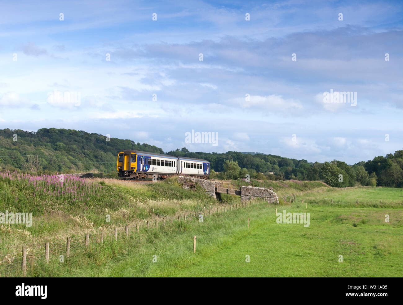 Arriva Northern rail class 156 sprinter train passing  Blackdykes (between Arnside & Silverdale) on the Cumbrian coast railway line Stock Photo
