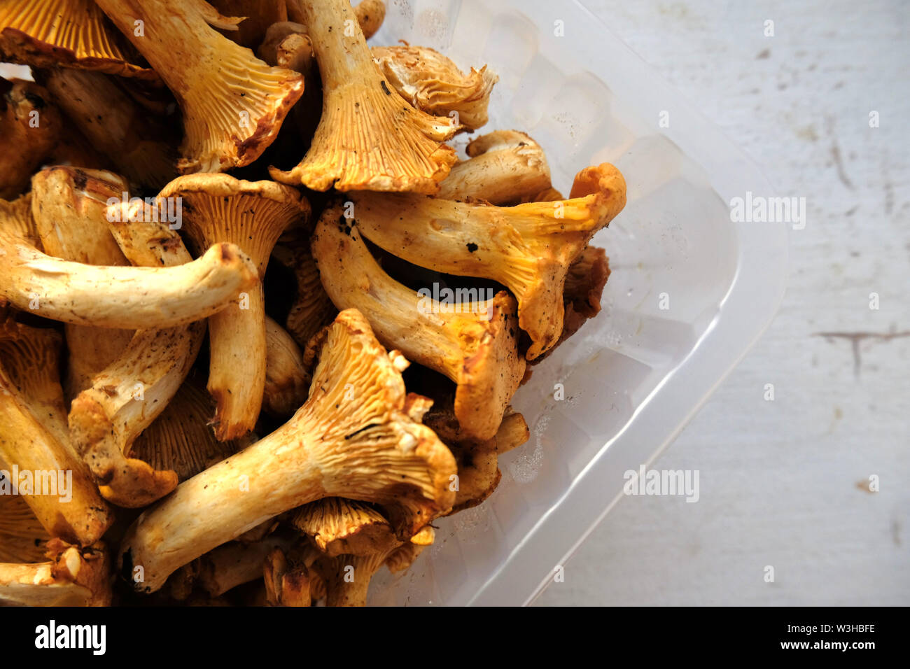 fresh golden chanterelles on light grey background flat lay Stock Photo