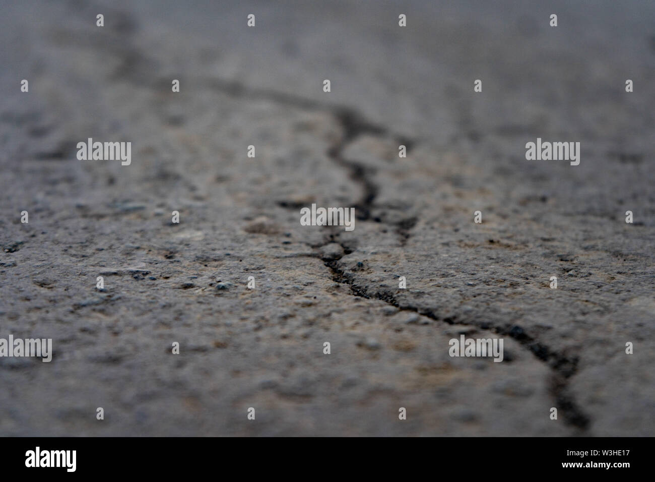 Focused on cracked asphalt road. crack in asphalt Stock Photo Alamy