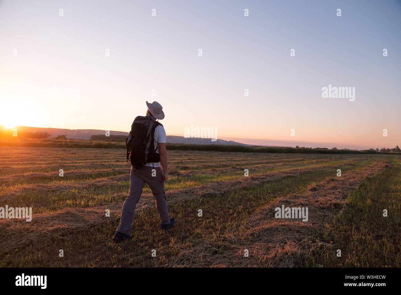Back view american guy walking hi-res stock photography and images - Alamy