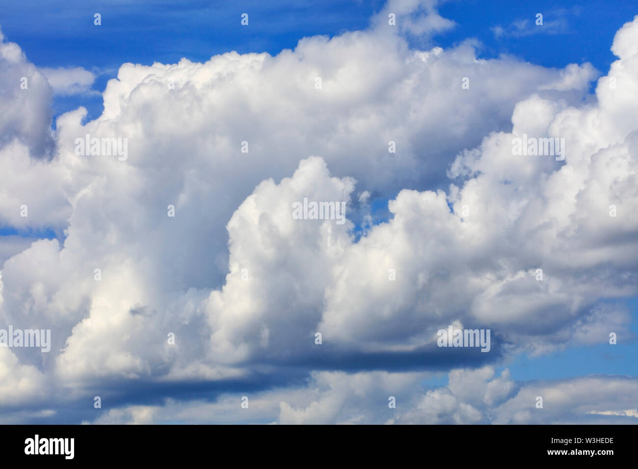 In the blue sky, white-gray fluffy clouds gradually come together before the rain. Stock Photo