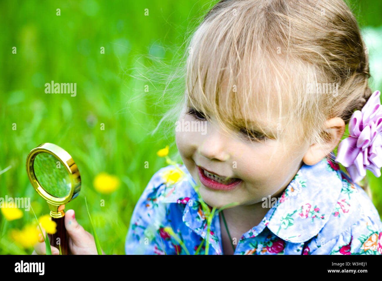 The child explores the grass in the meadow through a magnifying glass. Little girl exploring the flower through the magnifying glass outdoors. Stock Photo