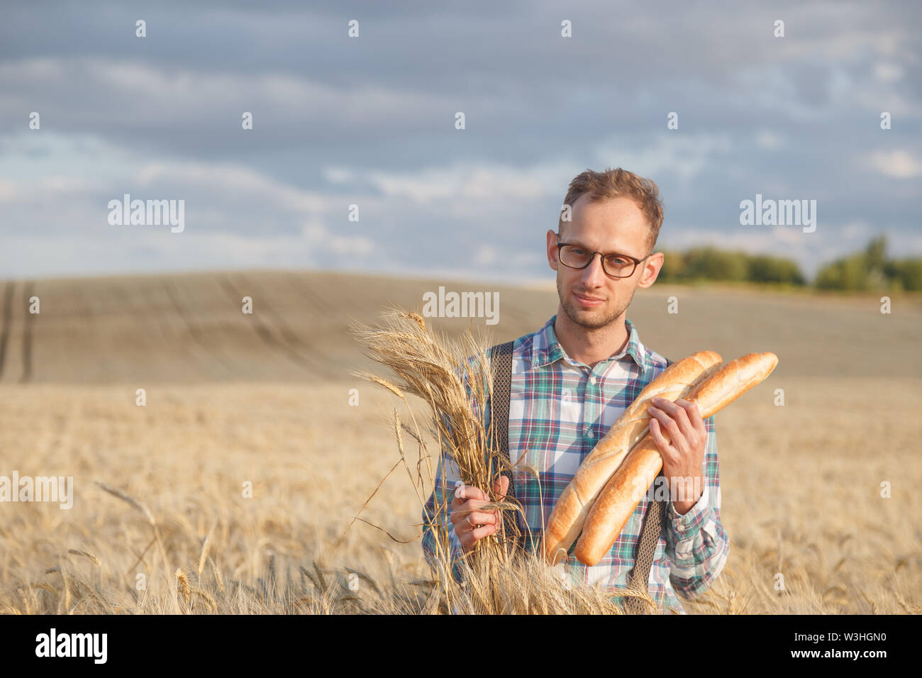 Standing crop ripe barley hi-res stock photography and images - Alamy