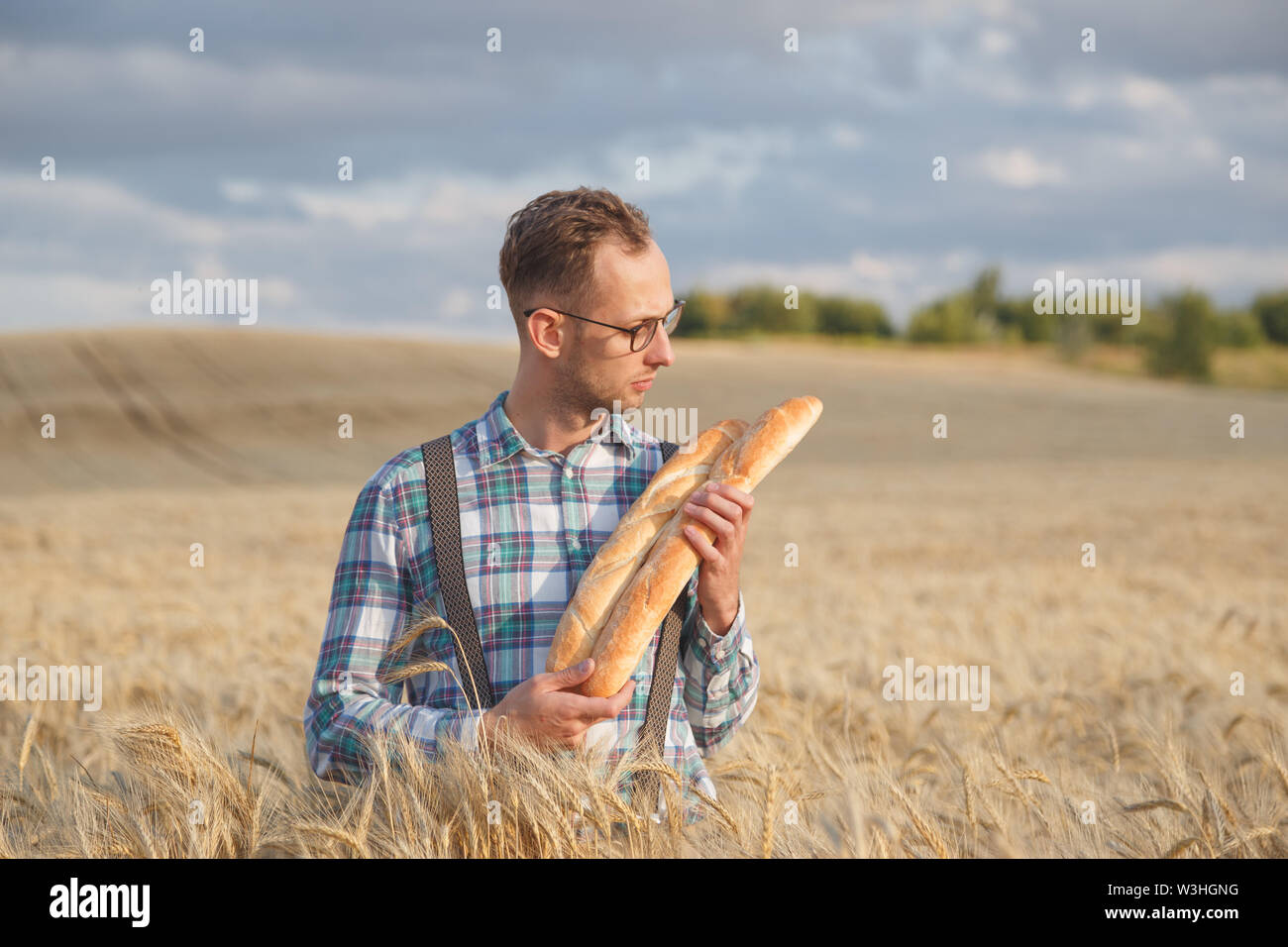 Corn standing hi-res stock photography and images - Alamy