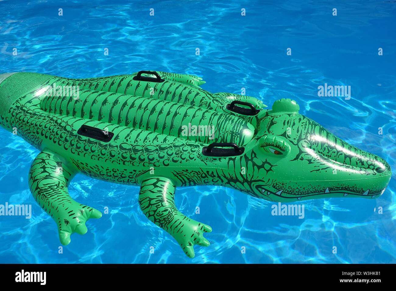 Crocodile Pool Float 2024
