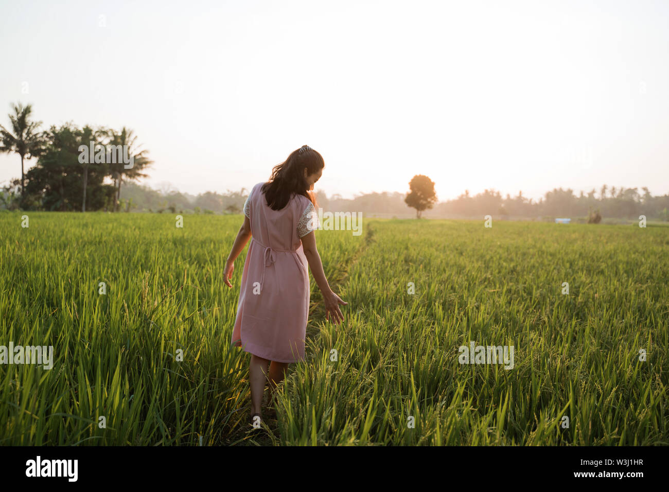 asian woman walking on a rice field enjoy her time in nature Stock Photo