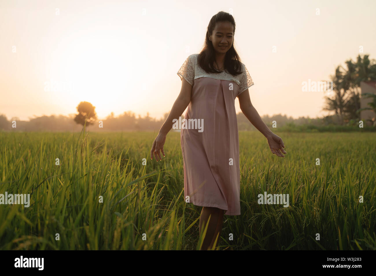 pregnant woman in rice field on sunset day walking Stock Photo