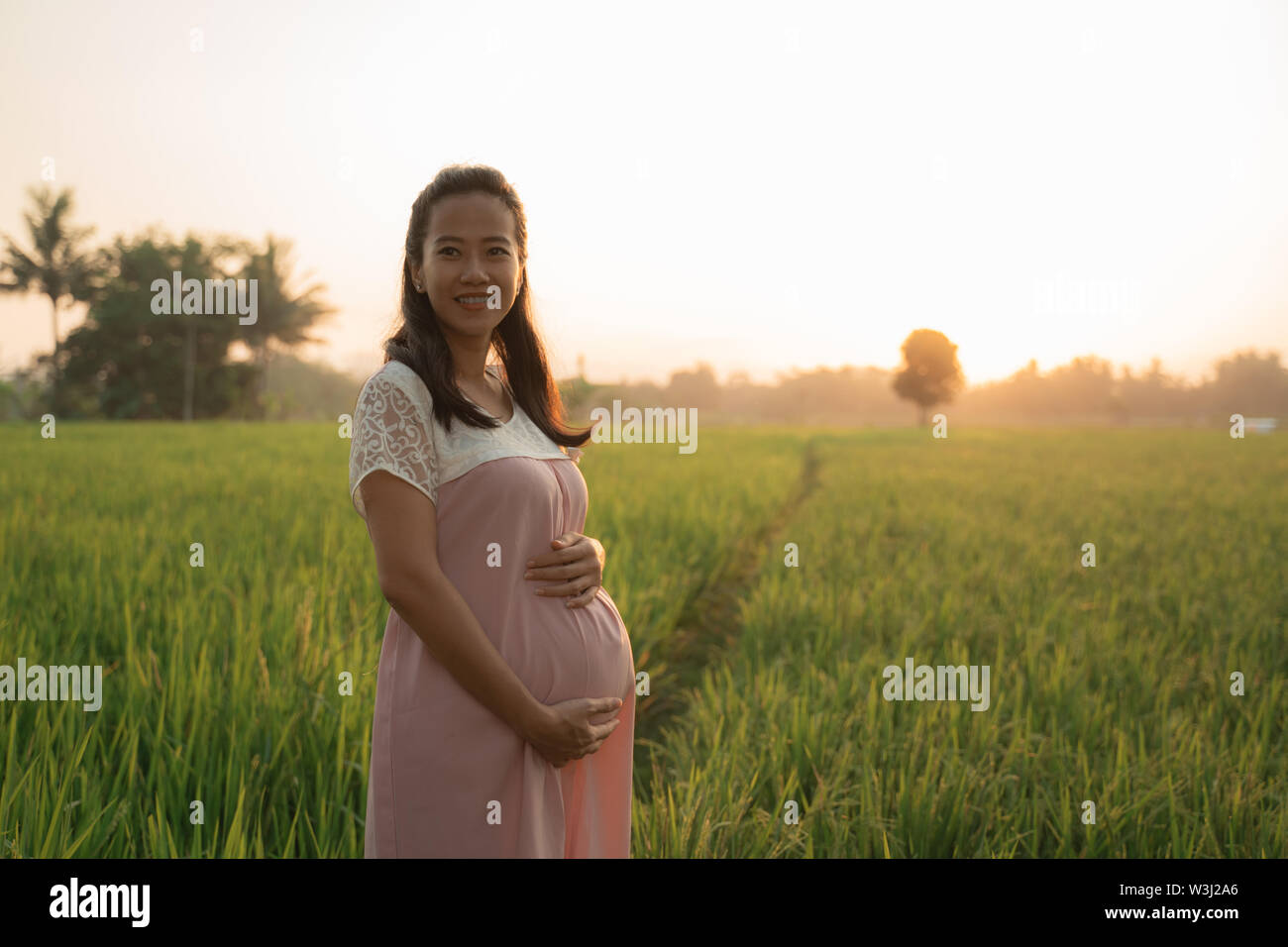 beautiful pregnant woman in rice field on sunset day Stock Photo