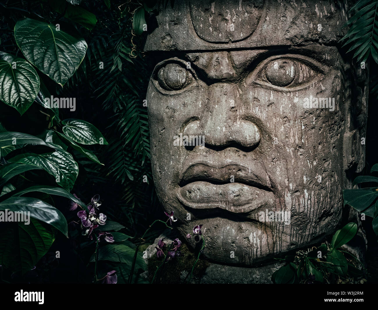 Olmec sculpture carved from stone. Big stone head statue in a jungle
