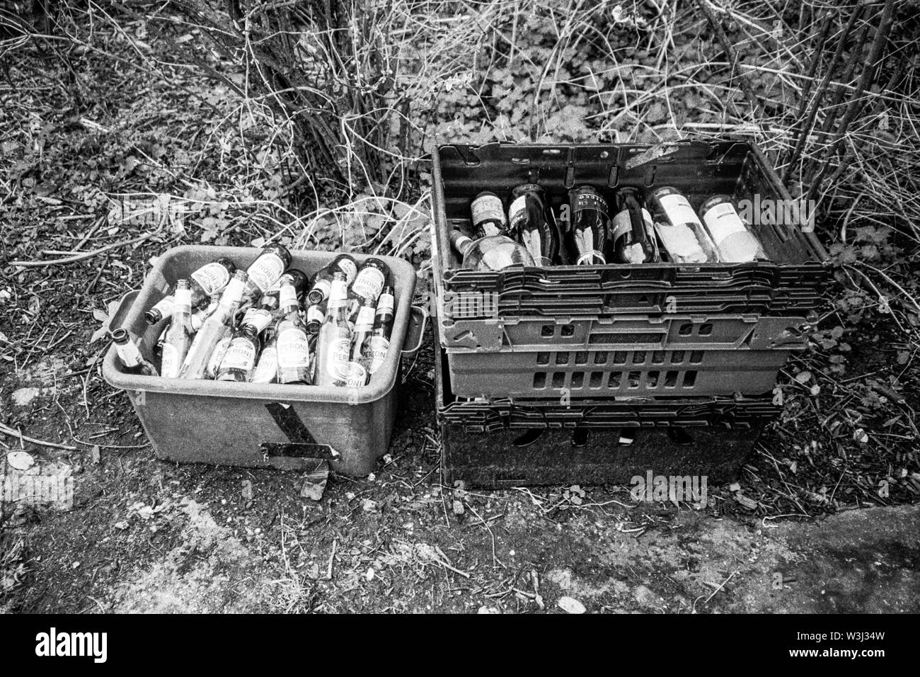 Trays of empty beer bottles waiting to be collected by the recycling truck, Medstead, Hampshire, England, United Kingdom. Stock Photo