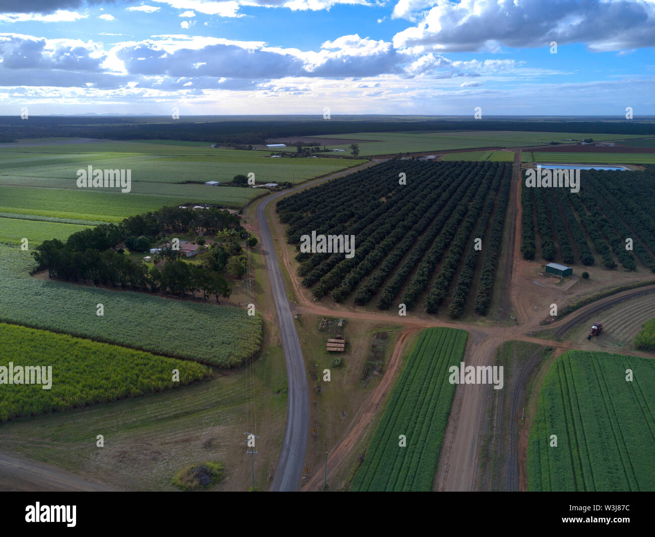 Aerial of macadamia nut tree plantation and farmhouse near Childers Queensland Australia Stock Photo