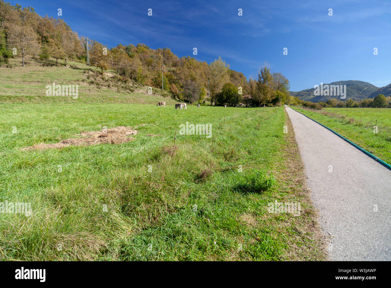 Ruta del Ferro, Iron and Coal Route, Old railway transformed in trail walk or bike ride. Villages of Sant Joan de les Abadesses and Ripoll, in Ripolle Stock Photo