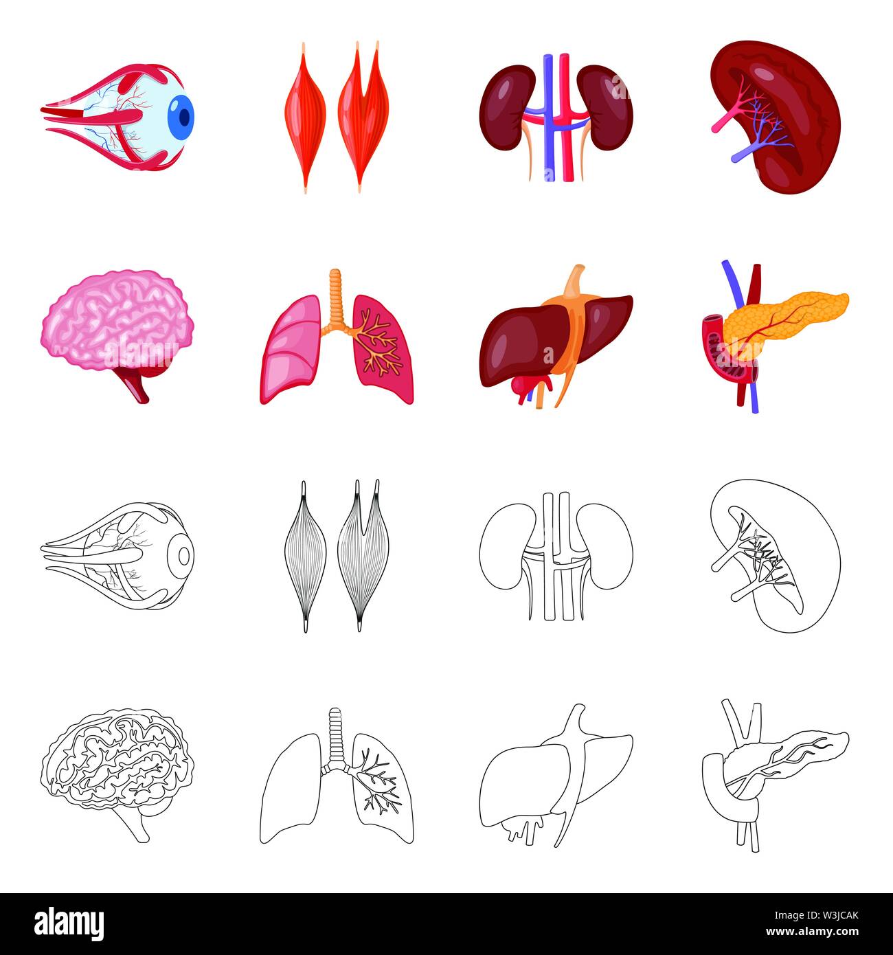 Vector Vectors Stock Vector Image & Art - Alamy