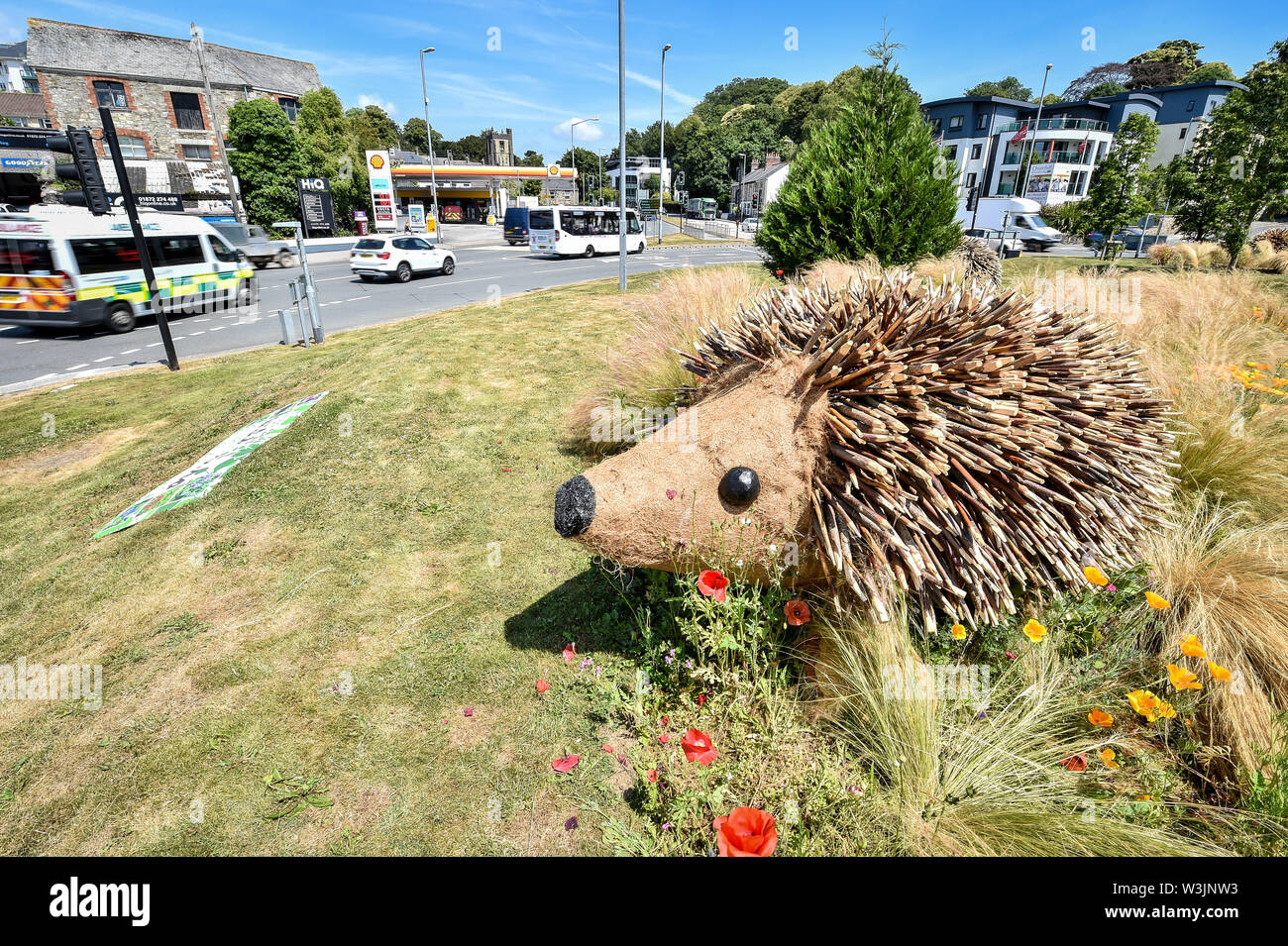 A giant hedgehog on Trafalgar roundabout in Truro, Cornwall, where the installation of a family of four huge hedgehogs have been sculpted from thousands of sharpened willow branches as part of Truro's entry into this year's Britain in Bloom competition. Stock Photo