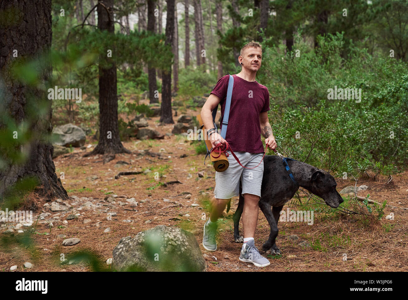 Smiling man walking with his dog in the forest Stock Photo
