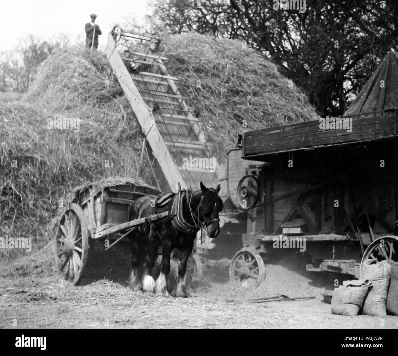 Horse threshing machine hi-res stock photography and images - Alamy