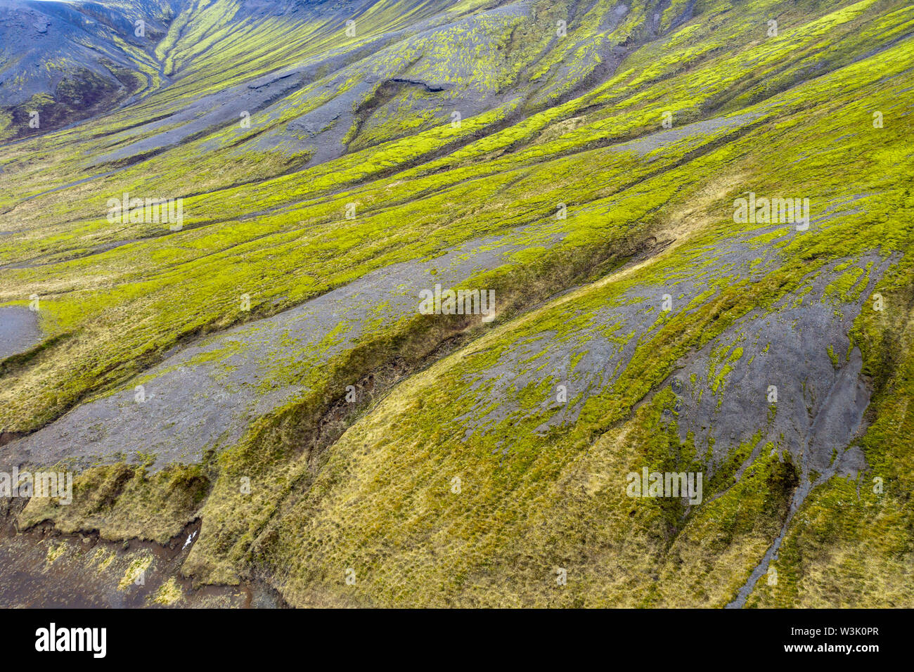 Vibrant green Icelandic moss on lava flow Stock Photo