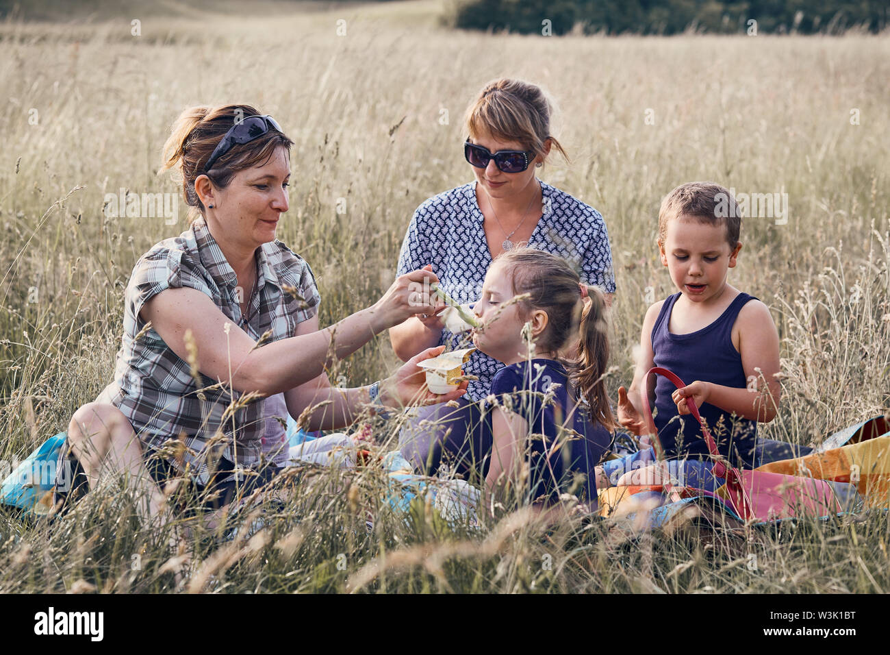 Families and friends spending time together on a meadow, close to nature. Mothers feeding kids, sitting on a blanket, on grass. Candid people, real mo Stock Photo
