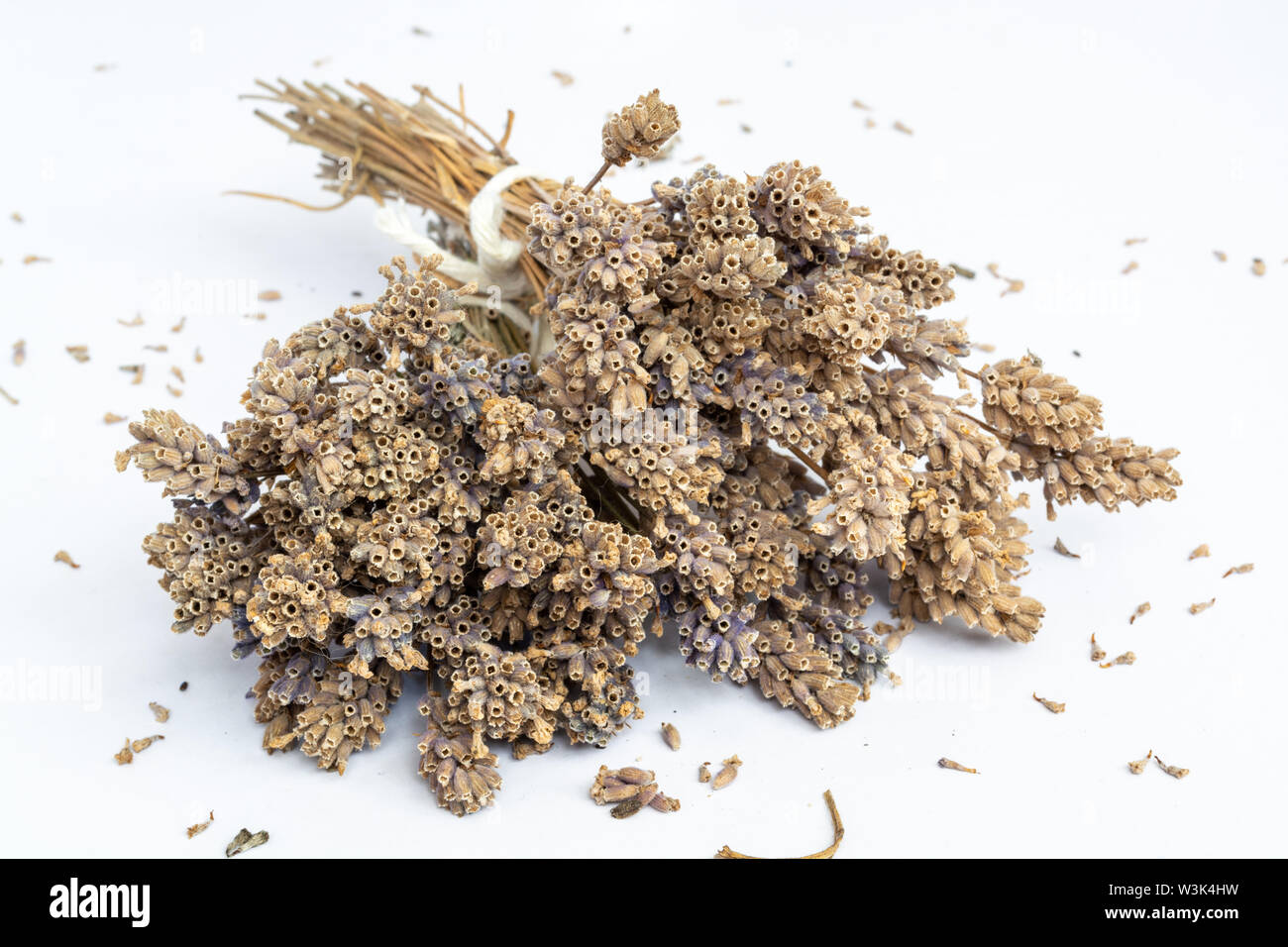 Bunches of very dry Lavender flowers in natural colour 1 Stock Photo