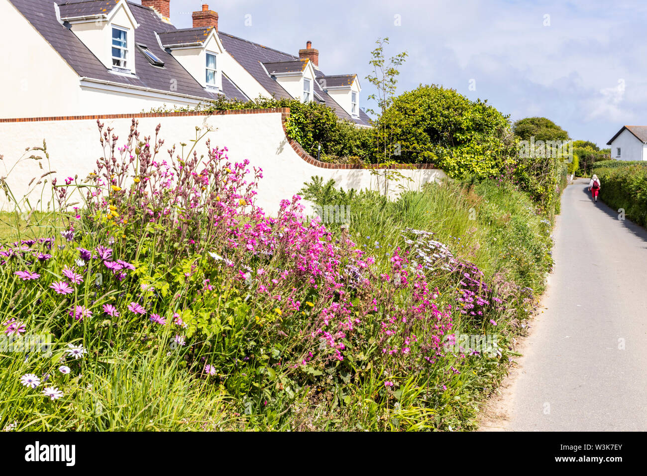 A display of flowers in a “Ruette Tranquille”, a Quiet Lane near Petit