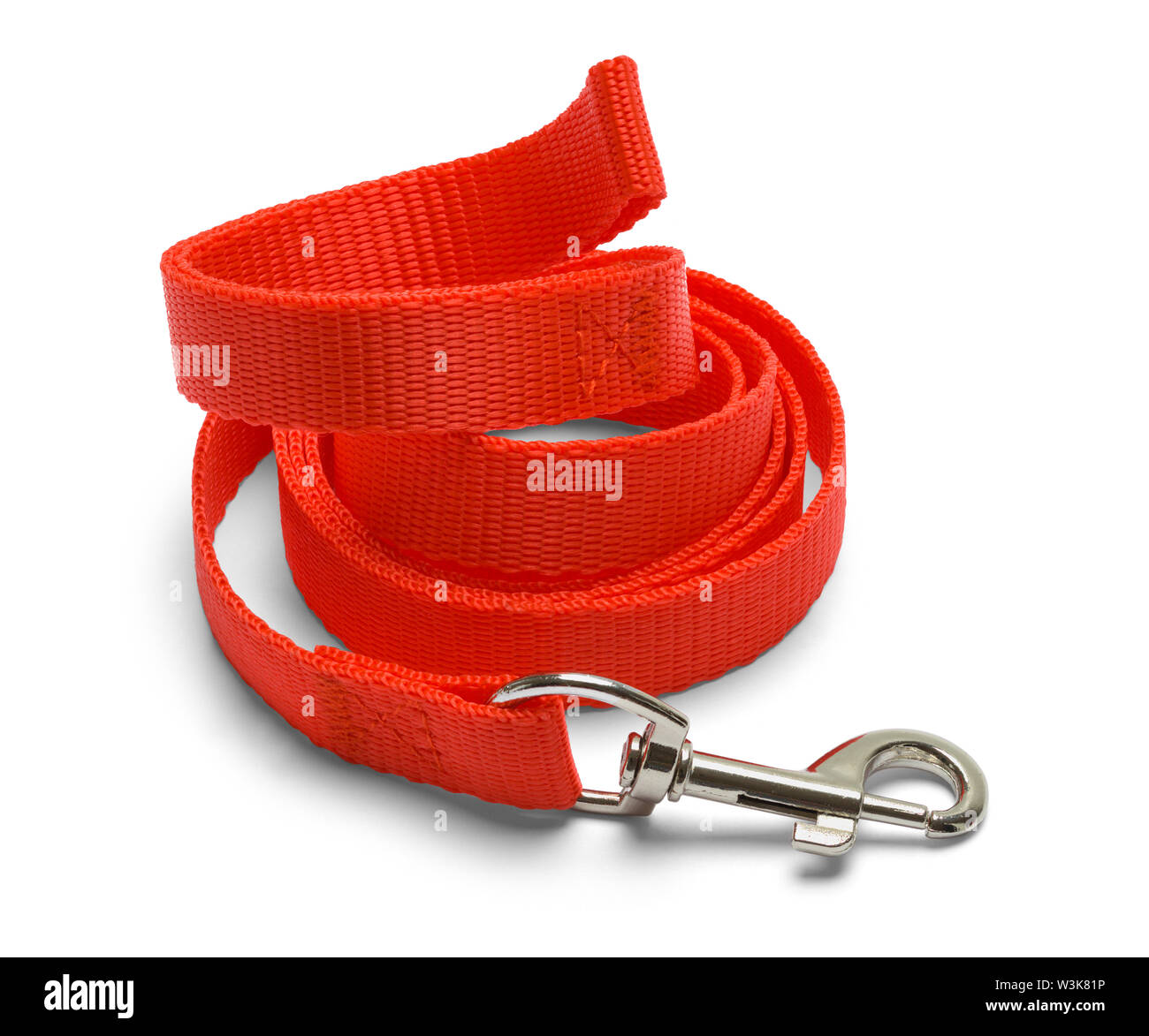 Curled Red Dog Leash Isolated on White. Stock Photo