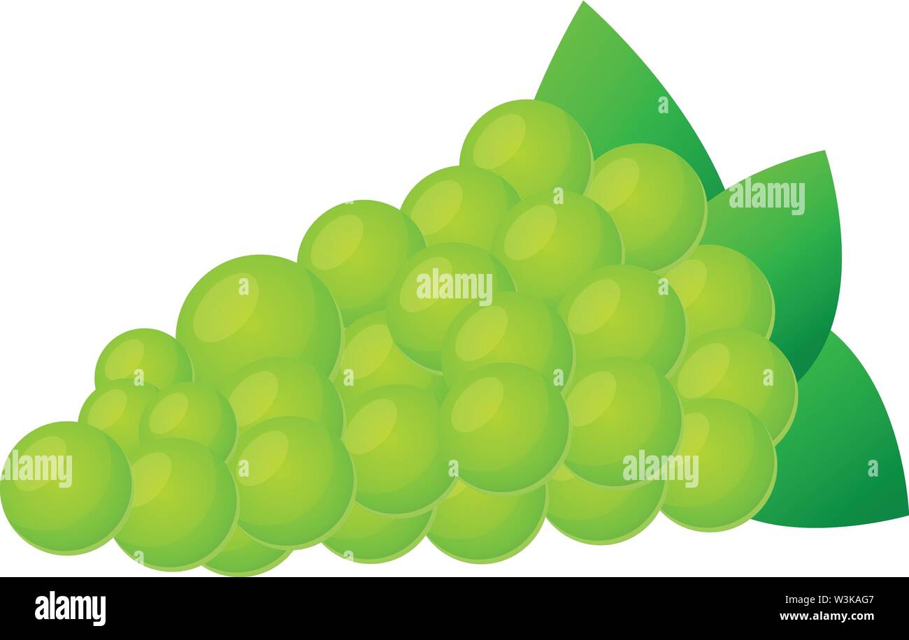 Green grapes icon. Cartoon of green grapes vector icon for web design