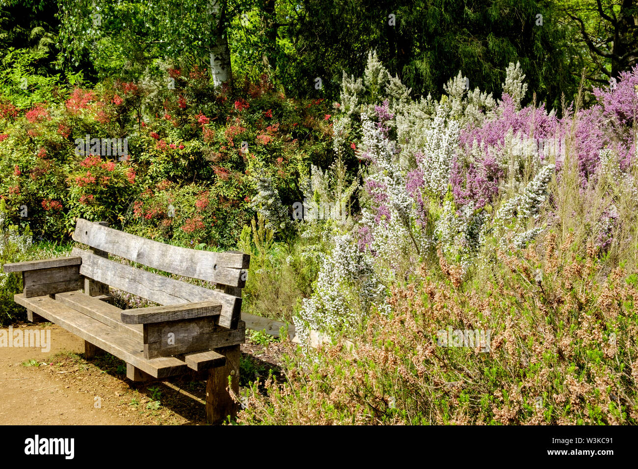 Plants Blog Cherry Picking