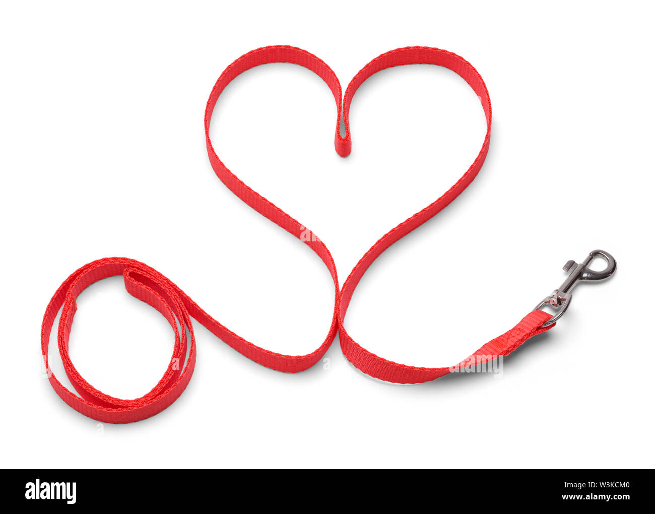 Red Fabric Dog leash Hanging Down Isolated on White Background. Stock Photo