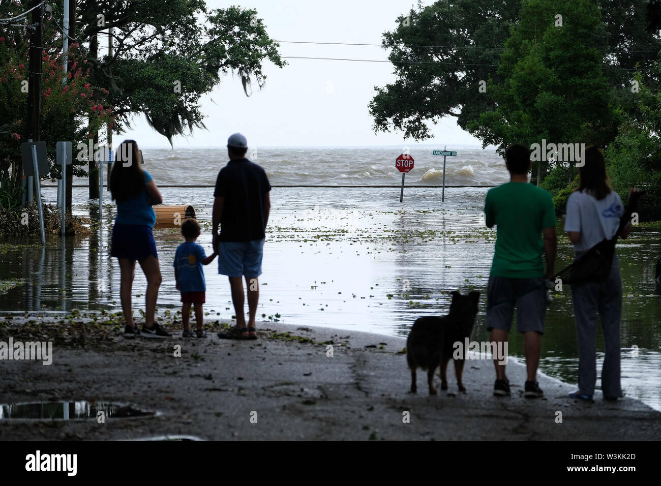 July 13, 2019 - Mandeville, LOUISIANA, U.S - People look out at a flooded road near Lake Pontchartrain in Mandeville, Louisiana USA as Hurricane Barry makes landfall on July 13, 2019. (Credit Image: © Dan Anderson/ZUMA Wire) Stock Photo