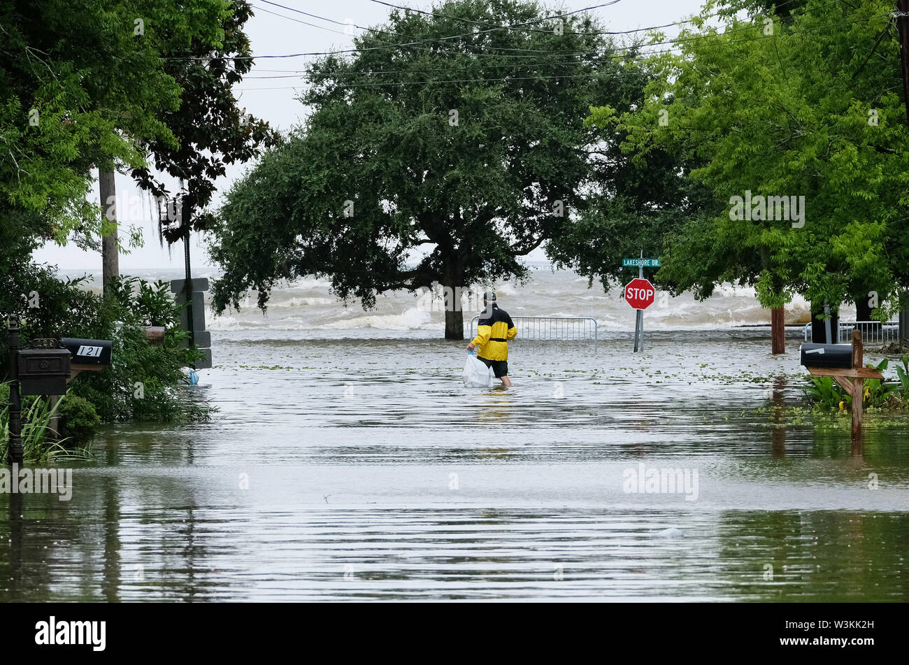 July 13, 2019 - Mandeville, LOUISIANA, U.S - A man walks through a flooded road to take out his trash near Lake Pontchartrain in Mandeville, Louisiana USA as Hurricane Barry makes landfall on July 13, 2019. (Credit Image: © Dan Anderson/ZUMA Wire) Stock Photo