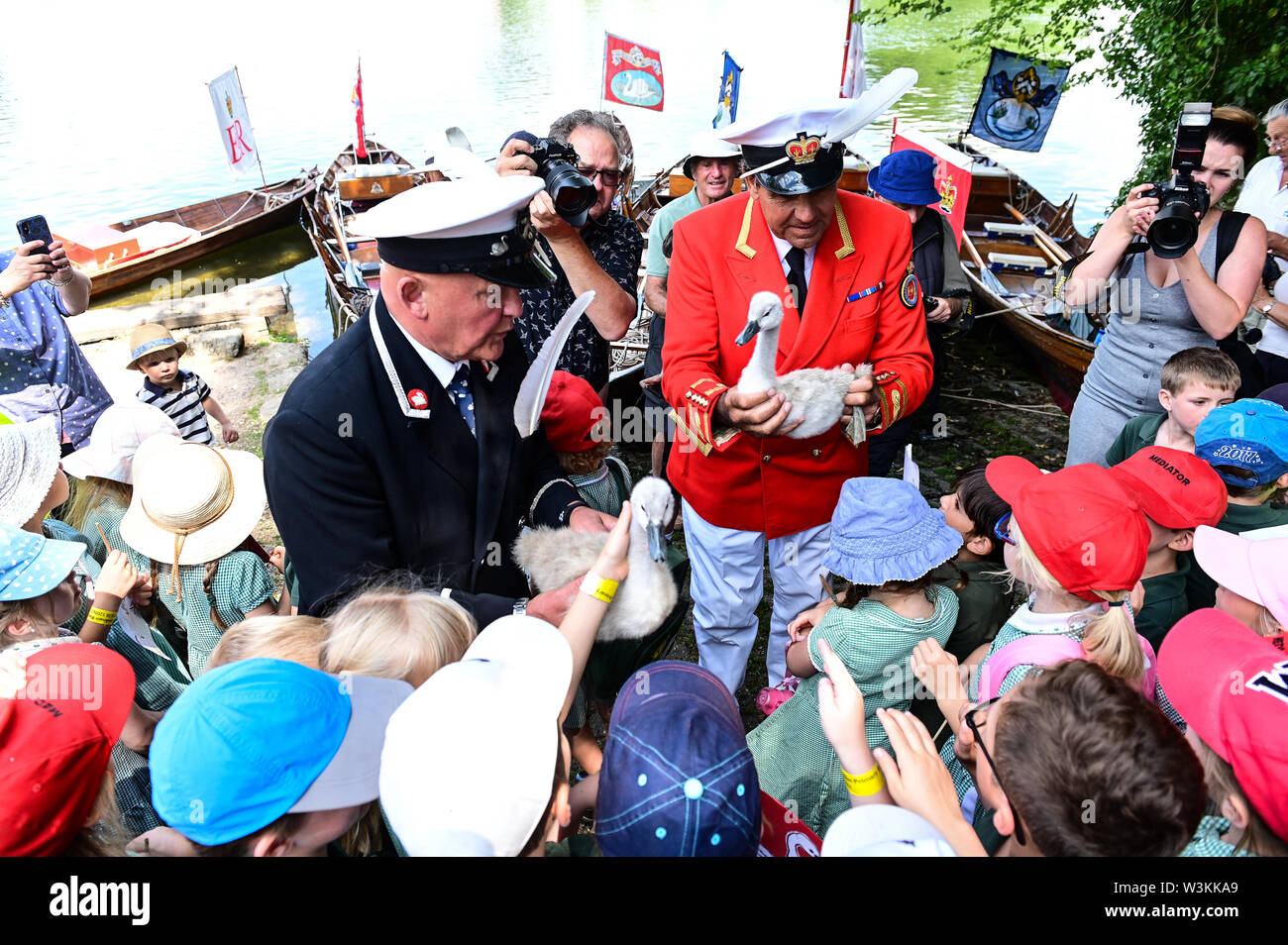 Swan Markers show school children a cygnet during the annual Swan Upping event, July 2019 Stock Photo