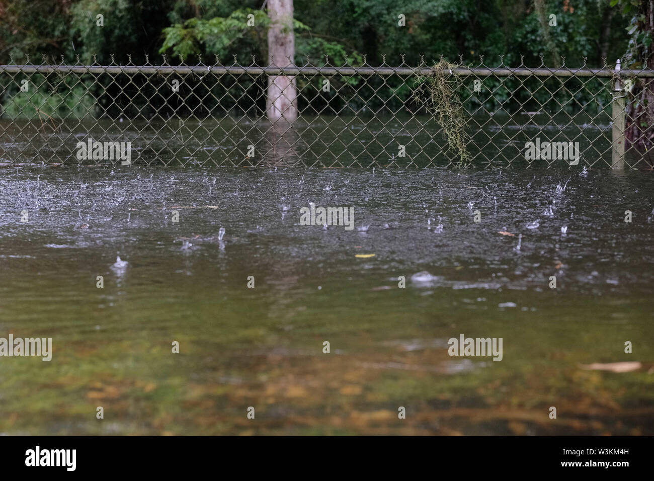 Mandeville, LOUISIANA, USA. 13th July, 2019. A fence stands in a flooded yard near Lake Pontchartrain in Mandeville, Louisiana USA as Hurricane Barry makes landfall on July 13, 2019. Credit: Dan Anderson/ZUMA Wire/Alamy Live News Stock Photo