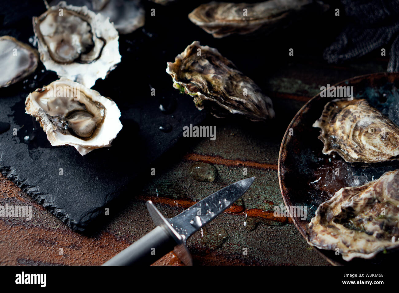 Opened fresh oysters on a dark background, a knife and water drops. Rostik style. Stock Photo