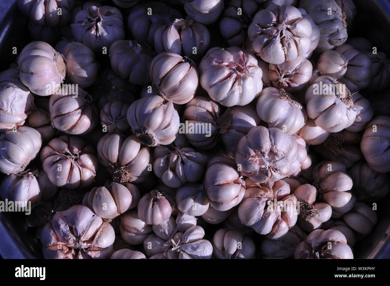 Fresh garlic cloves for sale at The Russian Market, Phnom Penh