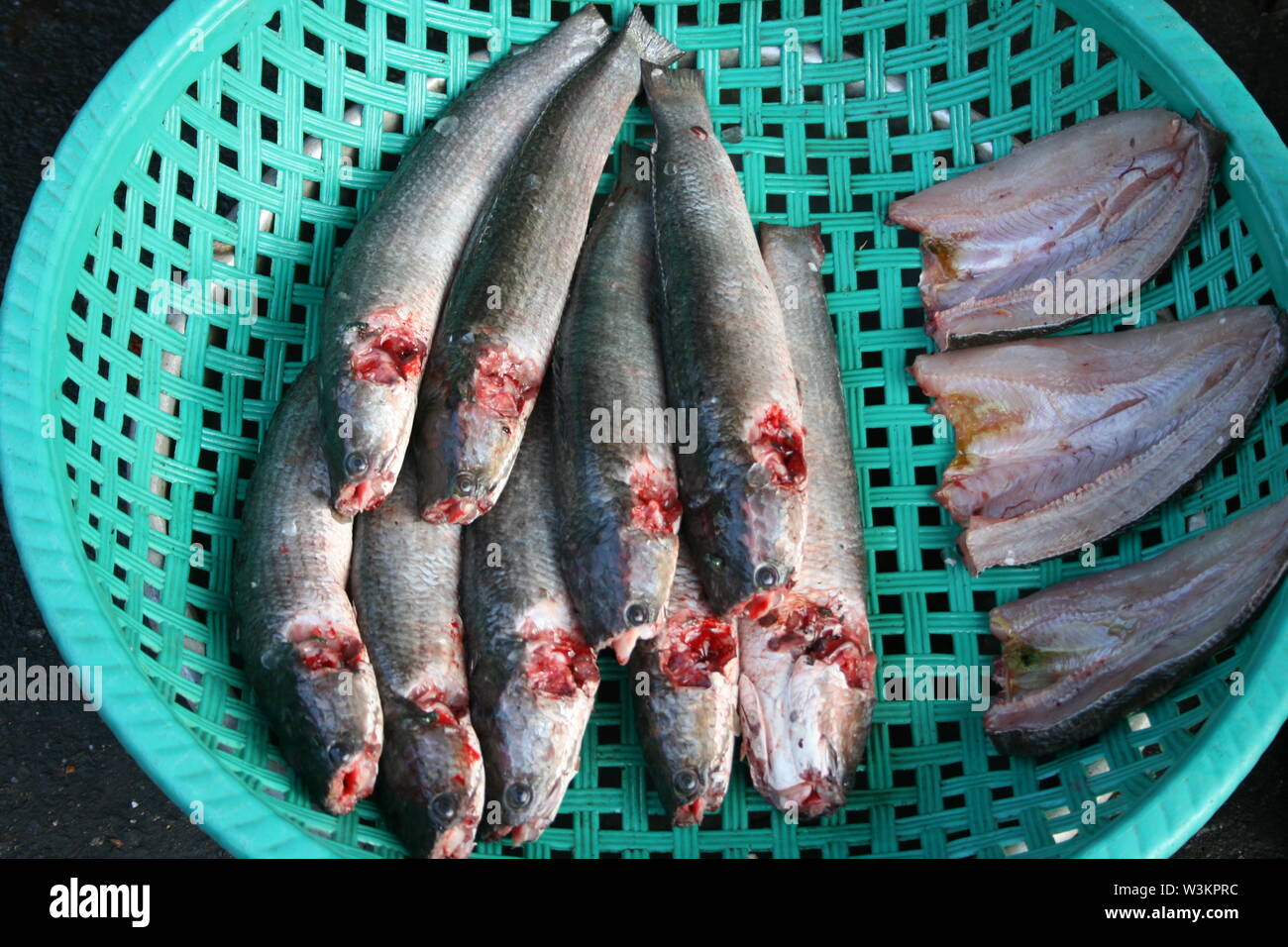 fresh fish for sale in a colorful turquoise plastic basket at the Russian Market, Phnom Penh