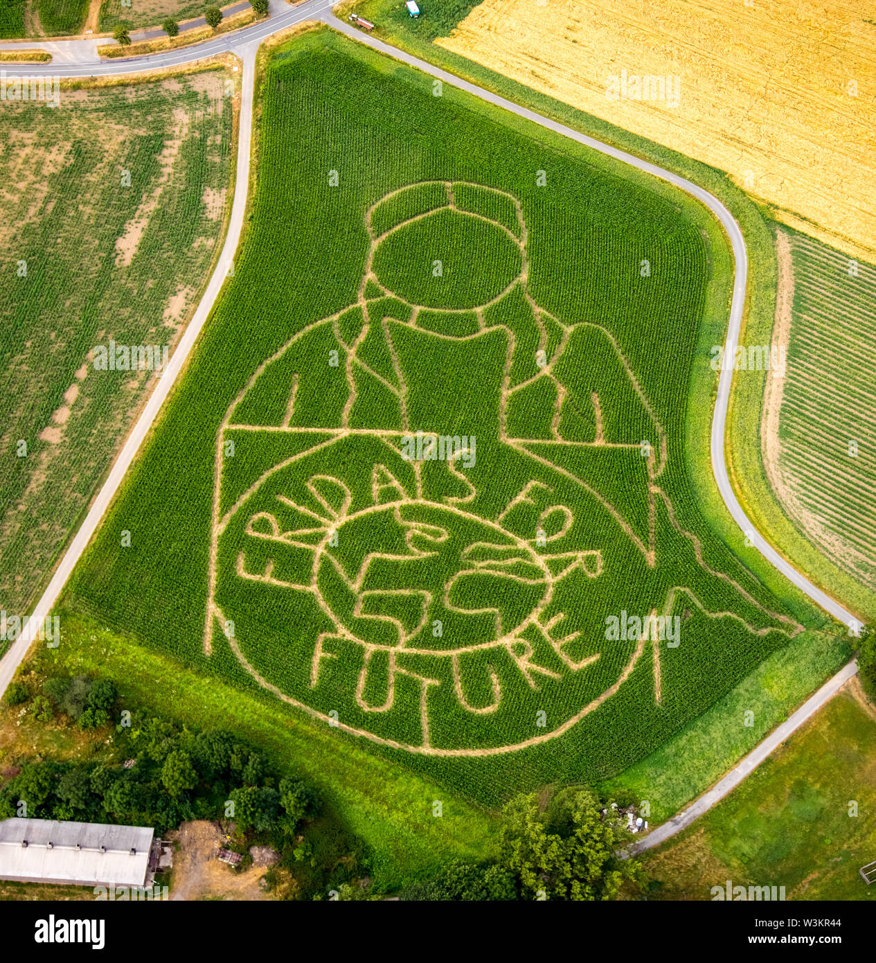 Aerial view of the FRIDAYS FOR FUTURE emblem with climate activist Greta Thunberg as a corn maze on a field in Cappenberg, Selm, Ruhrgebiet, North Rhi Stock Photo