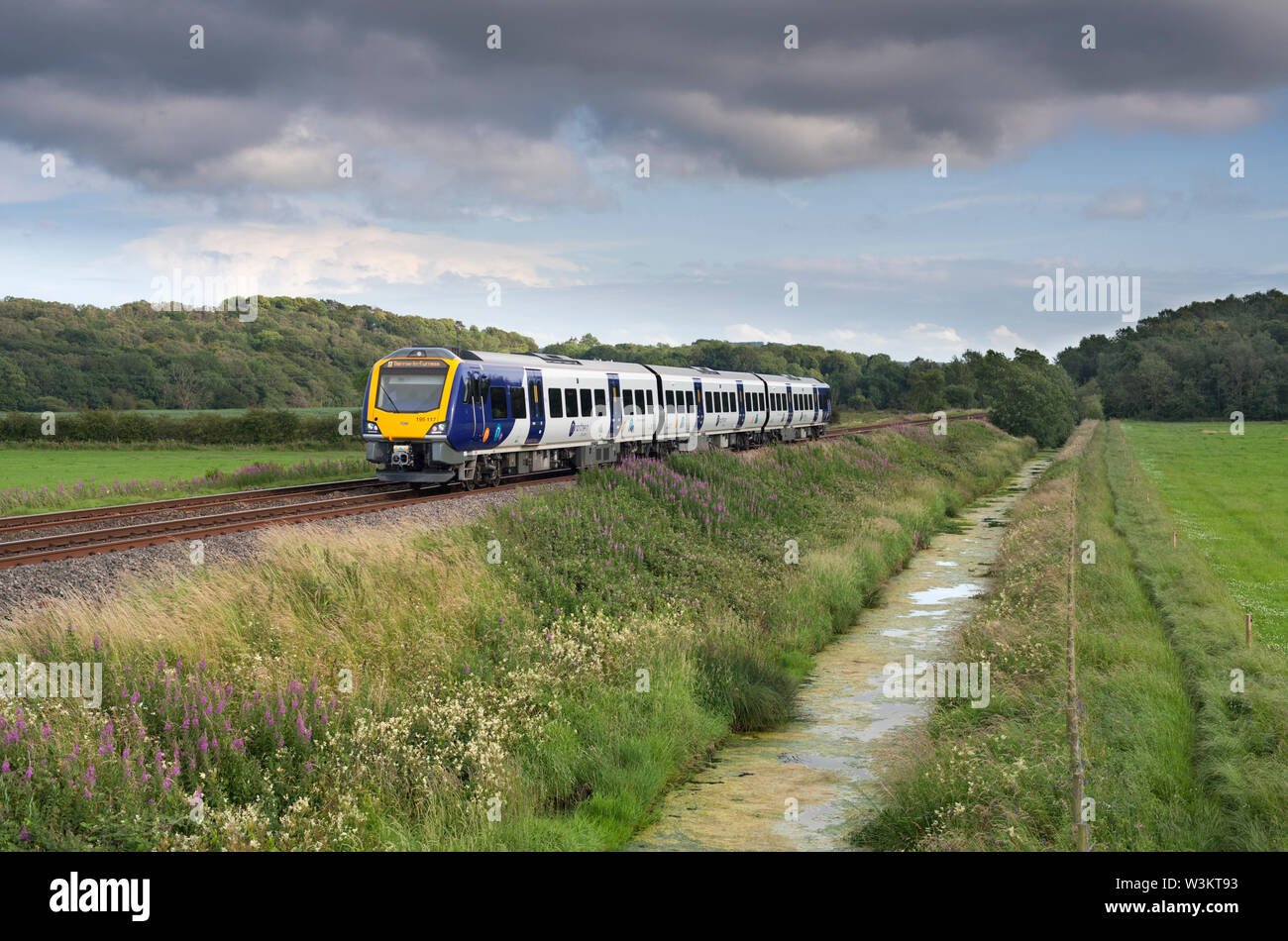 Northern Rail class 195 train passing  Blackdykes (between Arnside & Silverdale) with a Manchester Airport to Barrow-in-Furness train Stock Photo