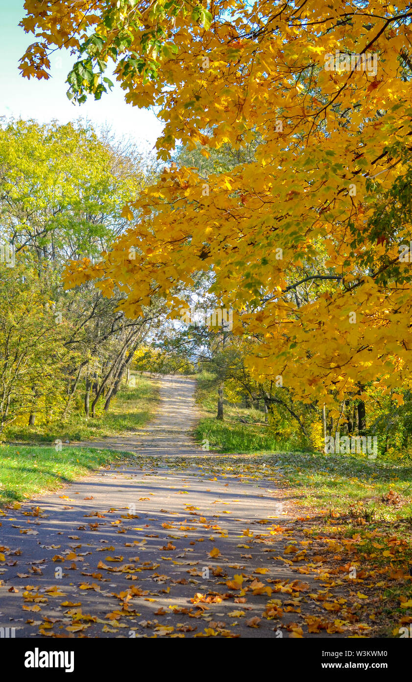 Beautiful romantic alley in a park with colorful trees and sunlight ...