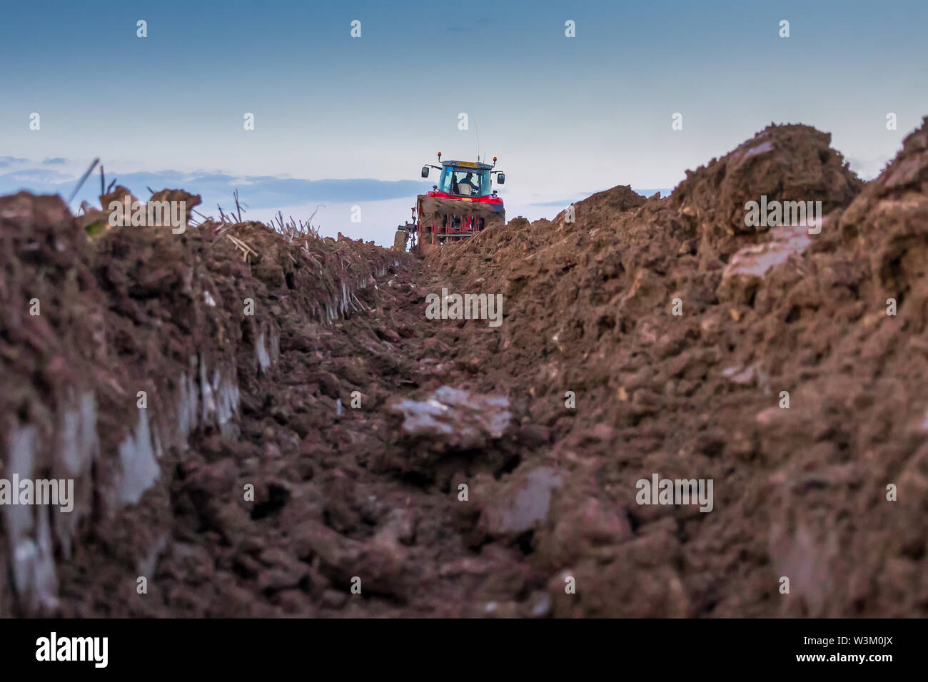 View down the furrow of a red Massey Ferguson tractor ploughing a field in Lincolnshire Stock Photo