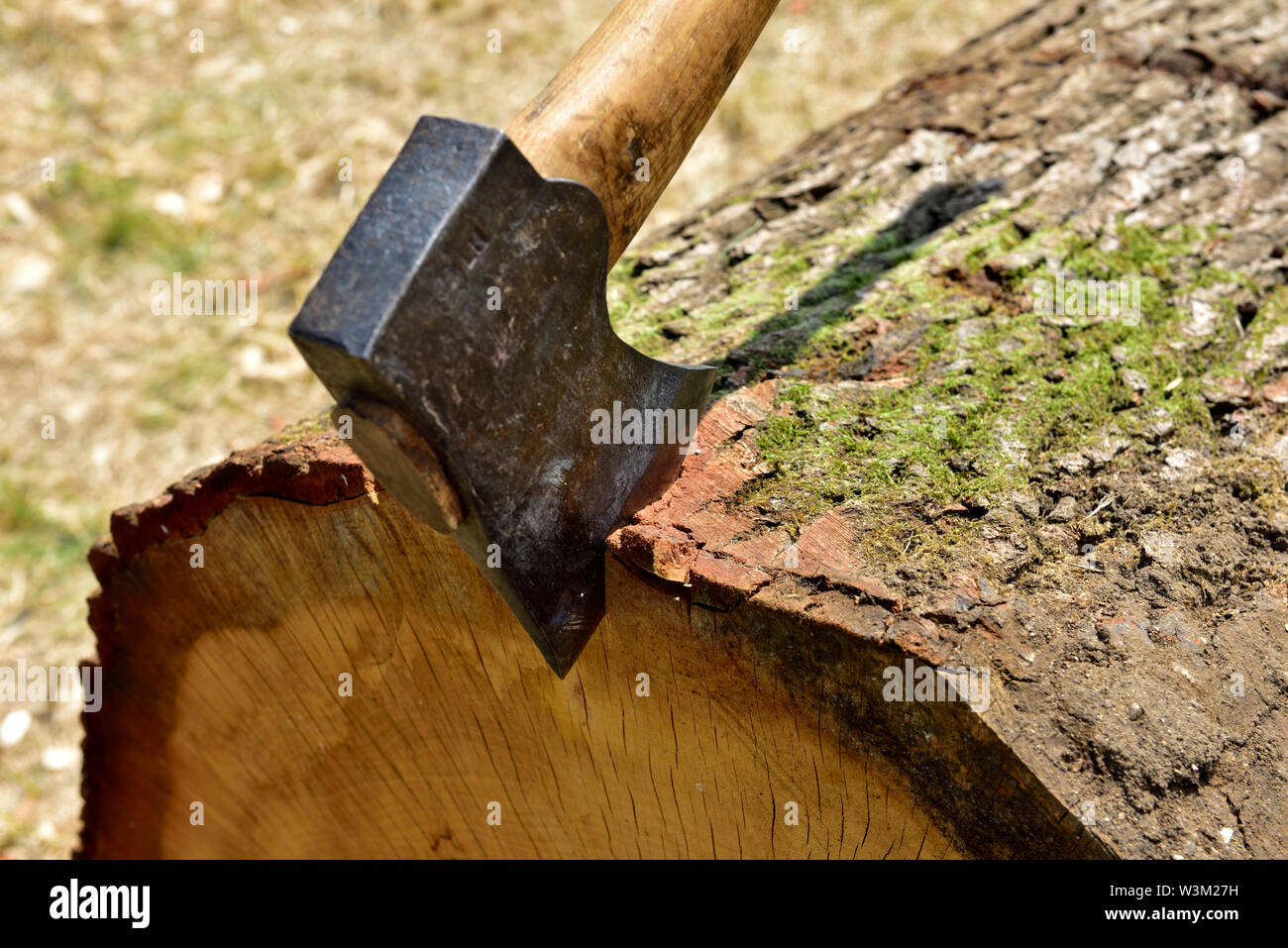Axe stuck in the end of a log Stock Photo