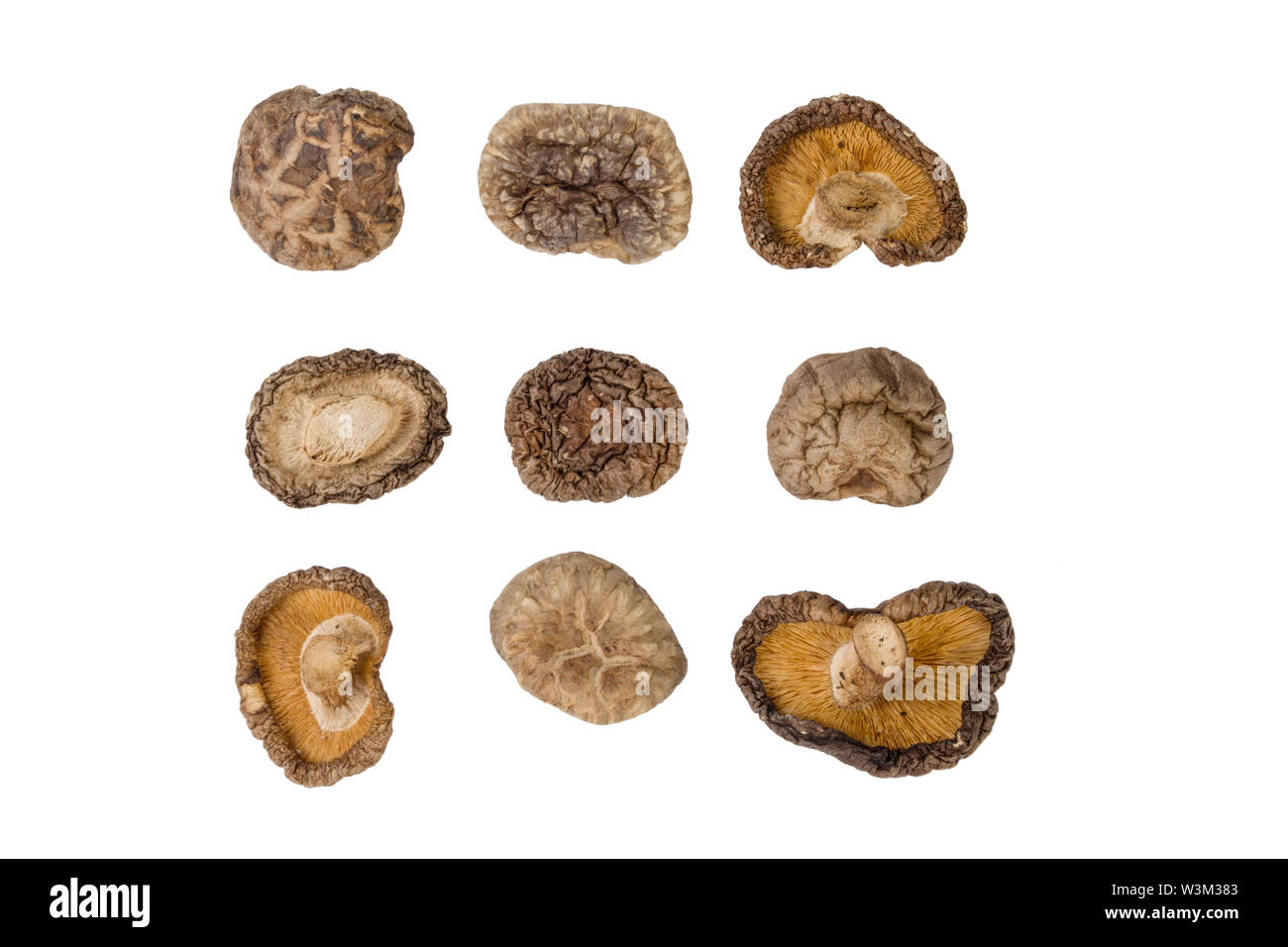 Shitake mushroom hi-res stock photography and images - Alamy
